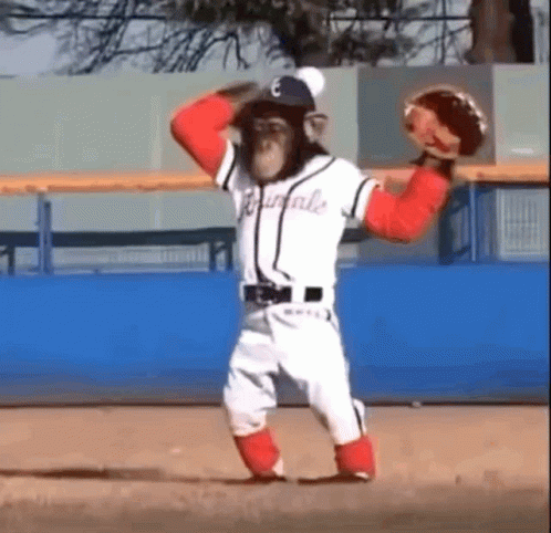A Chimpanzee Is Wearing A Baseball Uniform And Holding A Glove . GIF