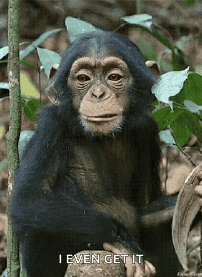 A Chimpanzee Sitting On A Tree Branch With The Words I Even Get It Written Below It GIF