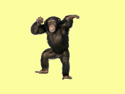 A Chimpanzee Sitting On A Yellow Background GIF