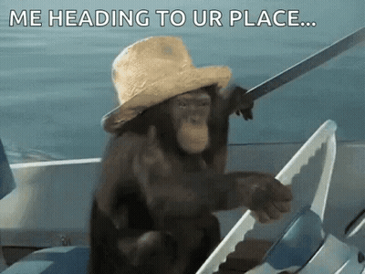 A Chimpanzee Wearing A Straw Hat Is Driving A Boat With The Words Me Heading To Ur Place GIF