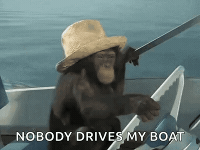A Chimpanzee Wearing A Straw Hat Is Sitting In A Boat With The Words Nobody Drives My Boat Below It GIF