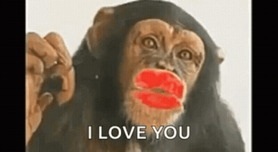 A Chimpanzee With Red Lipstick On Its Lips Is Holding A Bottle And Saying `` I Love You '' . GIF