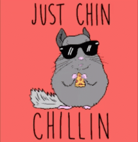A Chinchilla Wearing Sunglasses Is Eating A Piece Of Pizza GIF