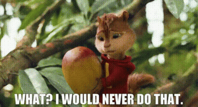 A Chipmunk Is Holding A Mango In A Tree And Says What ? I Would Never Do That . GIF