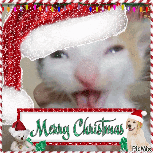 A Christmas Card With A Cat Wearing A Santa Hat And A Dog Wearing A Santa Hat GIF