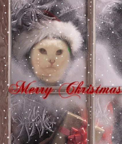 A Christmas Card With A Cat Wearing A Santa Hat And Holding A Gift GIF