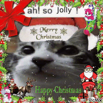 A Christmas Card With A Cat Wearing A Santa Hat And The Words Merry Christmas GIF