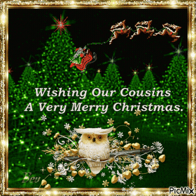 A Christmas Card With An Owl On A Branch Wishing Our Cousins A Merry Christmas GIF