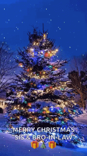 A Christmas Tree Is Covered In Snow And Lights And Says Merry Christmas Sis & Bro-In-Law GIF