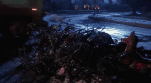 A Christmas Tree Is Laying On The Side Of The Road In Front Of A Truck GIF