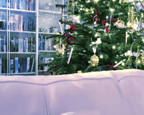 A Christmas Tree Is Lit Up In Front Of A Bookshelf That Says ' A Christmas Tree ' On The Top GIF