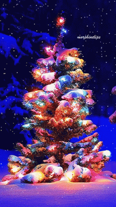 A Christmas Tree Is Lit Up In The Snow With The Words Morphindips Below It GIF