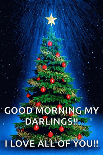 A Christmas Tree With A Star On Top And The Words Good Morning My Darlings GIF