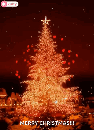 A Christmas Tree With A Star On Top Of It And The Words Merry Christmas GIF