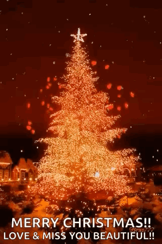 A Christmas Tree With A Star On Top Of It GIF