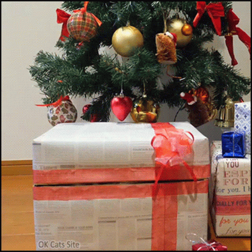 A Christmas Tree With Presents Under It And A Box That Says You Esp For You GIF
