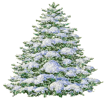 A Christmas Tree With Snow On It 'S Branches On A White Background Sticker