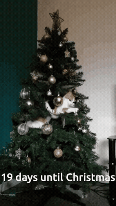 A Christmas Tree With The Words 19 Days Until Christmas GIF