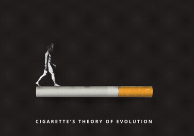 A Cigarette With Smoke Coming Out Of It That Says ' Cigarette 'S Theory Of Evolution ' GIF