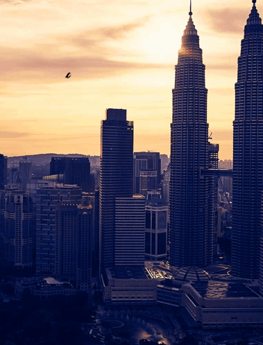 A City Skyline With A Bird Flying Overhead GIF
