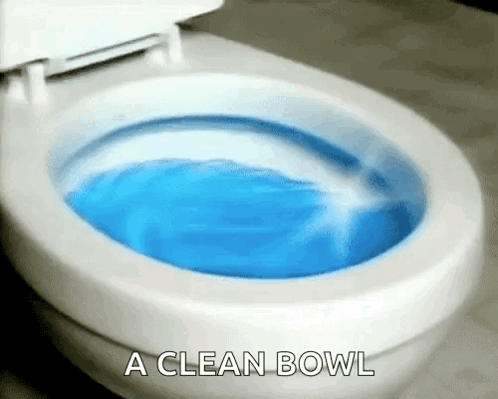 A Clean Bowl Of Water Is Being Poured Into A Toilet GIF