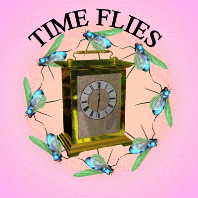 A Clock With Flies Around It And The Words Time Flies On Top GIF
