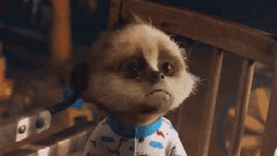 A Close Up Of A Baby Meerkat Wearing Pajamas . GIF