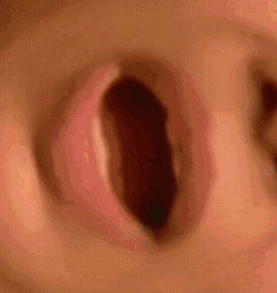 A Close Up Of A Baby 'S Nose With Its Mouth Open . GIF