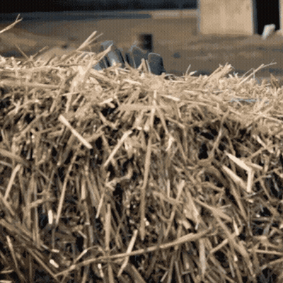 A Close Up Of A Bale Of Hay With A Person 'S Hand On Top GIF