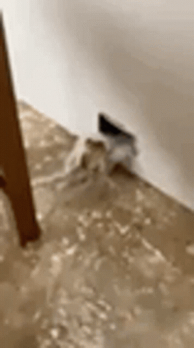 A Close Up Of A Bathtub Filled With Water And A Faucet . GIF
