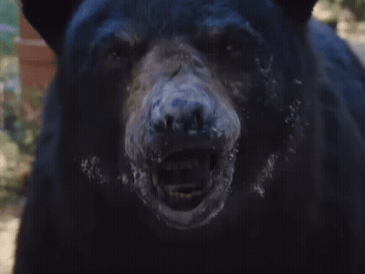 A Close Up Of A Bear 'S Face With Smoke Coming Out Of It 'S Mouth GIF