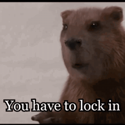 A Close Up Of A Beaver With The Words `` You Have To Lock In '' GIF