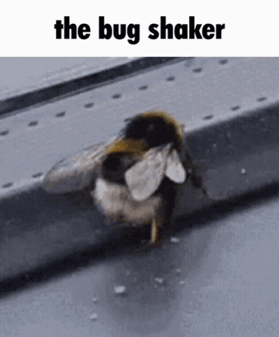 A Close Up Of A Bee On A Ledge With The Words The Bug Shaker Above It GIF