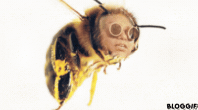 A Close Up Of A Bee Wearing Sunglasses With The Words Bloggif Below It GIF