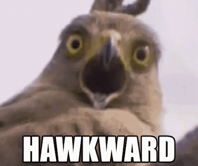 A Close Up Of A Bird With Its Mouth Open And The Words `` Hawkward '' Written On It . GIF