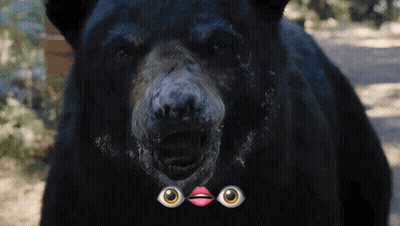 A Close Up Of A Black Bear 'S Face With Emoji Eyes And Lips On It GIF