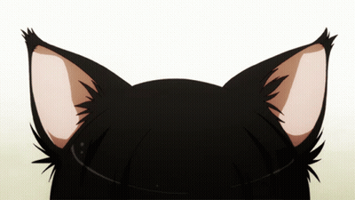 A Close Up Of A Black Cat 'S Ears With A White Background GIF