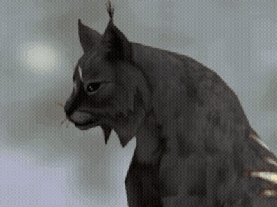 A Close Up Of A Black Cat With A Very Long Whiskers GIF