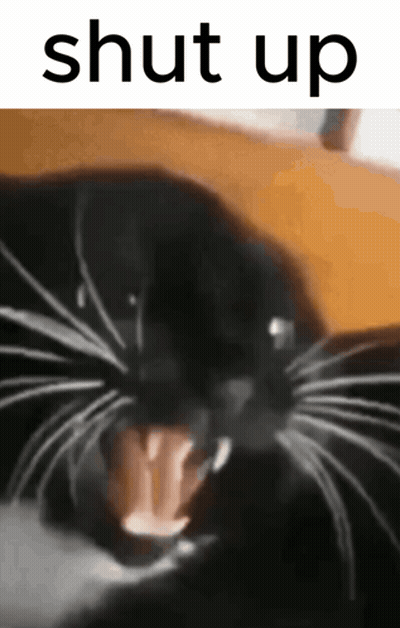 A Close Up Of A Black Cat With Its Mouth Open And The Words Shut Up Above It GIF