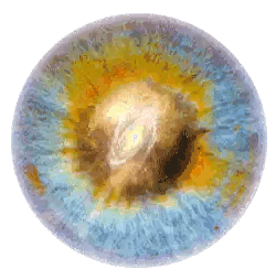 A Close Up Of A Blue And Yellow Eye With A Galaxy In The Center Sticker