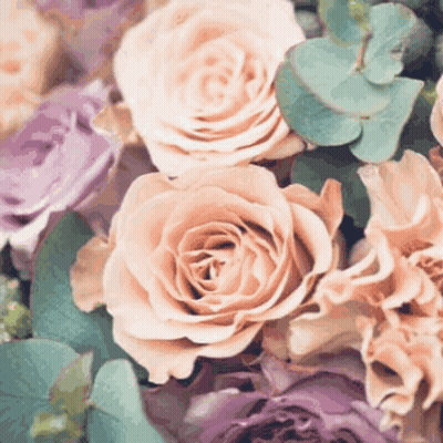 A Close Up Of A Bouquet Of Roses With Green Leaves GIF