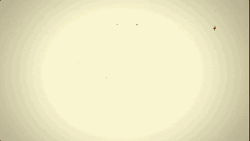 A Close Up Of A Brown And White Surface With A Circle In The Middle GIF