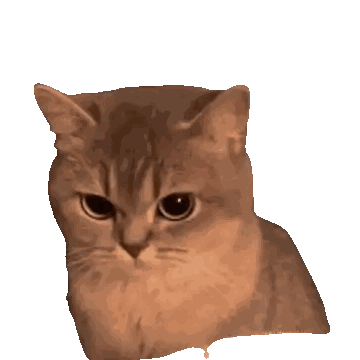 A Close Up Of A Brown Cat 'S Face On A White Background Sticker