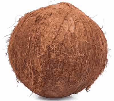 A Close Up Of A Brown Coconut On A White Surface GIF