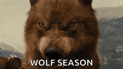 A Close Up Of A Brown Wolf With The Words Wolf Season Written Below It GIF