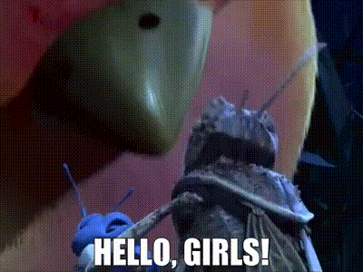 A Close Up Of A Bug With The Words `` Hello Girls '' Written On It GIF