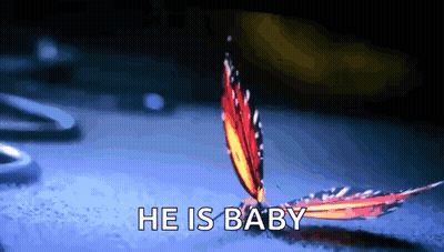 A Close Up Of A Butterfly With The Words He Is Baby Behind It GIF