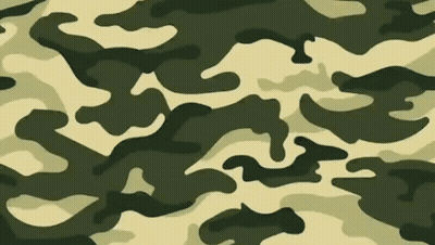 A Close Up Of A Camouflage Pattern On A White Surface GIF