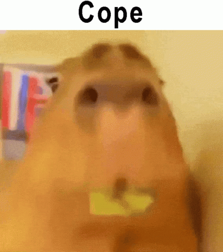 A Close Up Of A Capybara With The Word Cope On The Bottom GIF