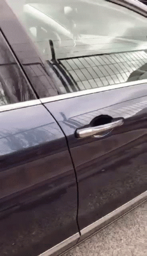 A Close Up Of A Car Door With A Silver Trim GIF